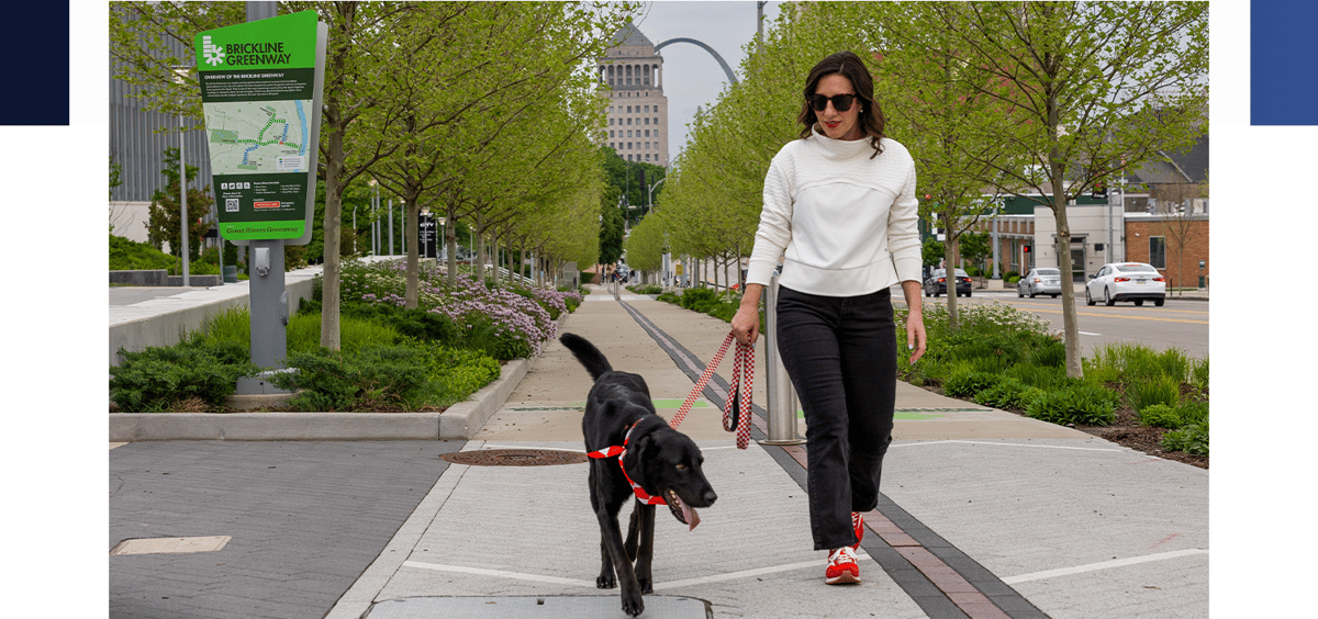 GSL Newsletter Lead Image - GRG Purina Brickline-1